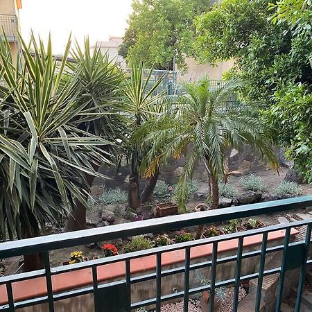 斯卡法蒂Casa Vacanze Parco Dei Fiori别墅 外观 照片
